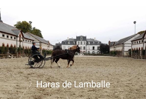 Perle Rare, Appartement Paisible Et Cosy Lamballe Exteriér fotografie